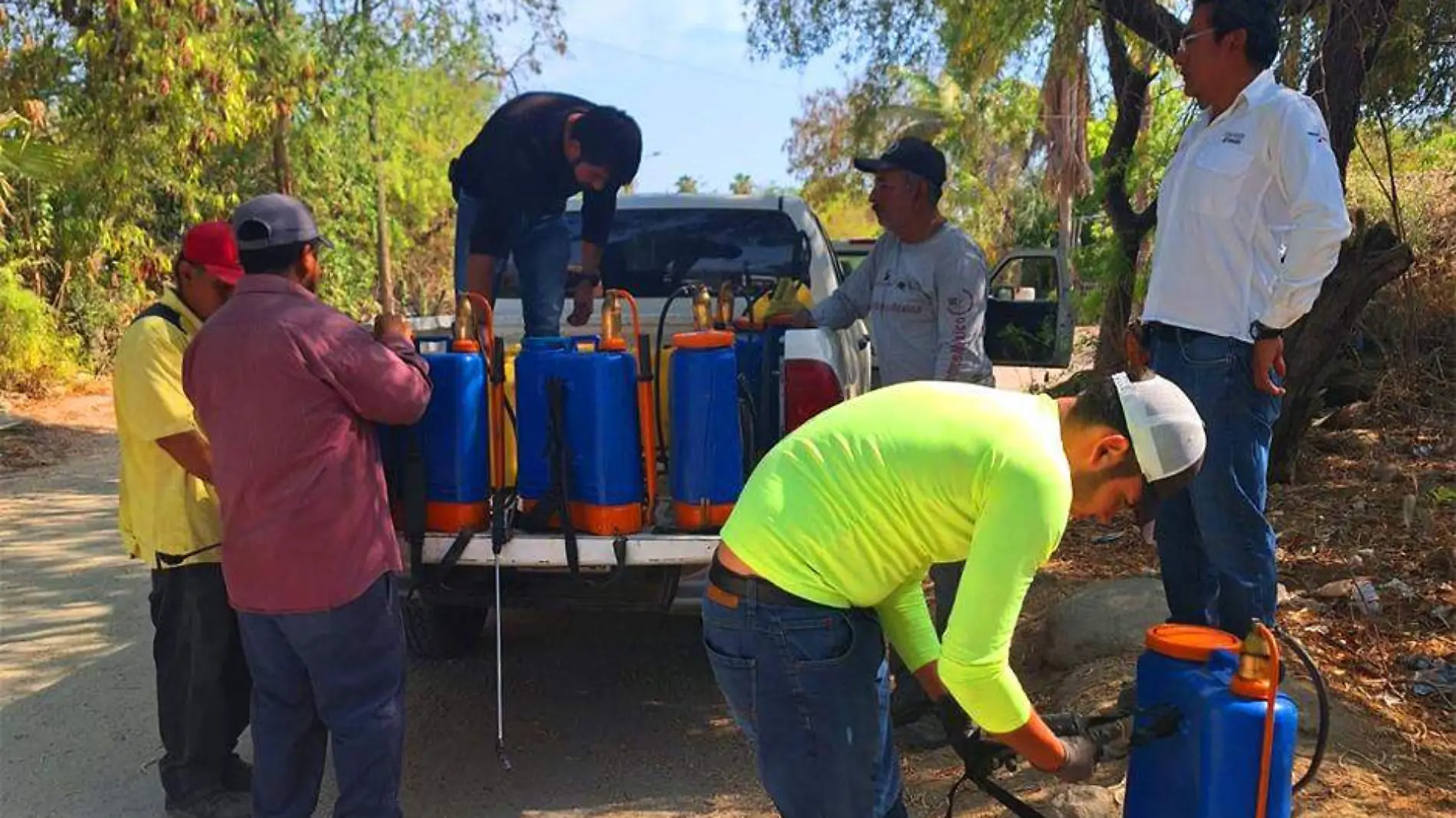 Combata a mosaca de la fruta en BCS